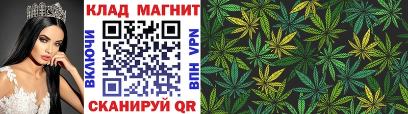 APVP Навашино