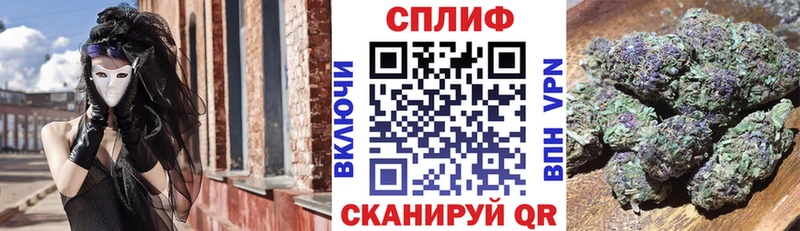 Каннабис гибрид  Навашино 